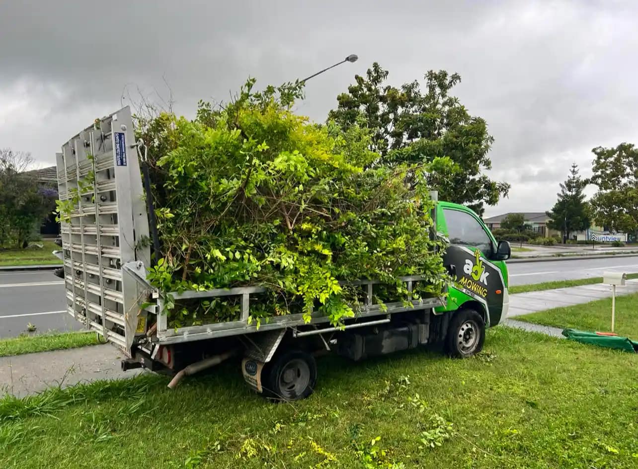 AOK Mowing Green waste removal service in Ipswich for branches and hedge cuttings