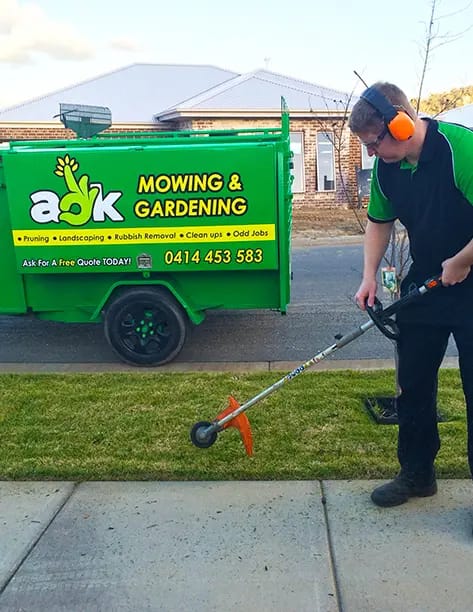 Whipper snipping and lawn edging service for residential lawns in Ipswich