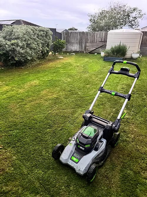 electric battery mower mowing backyard in ripley