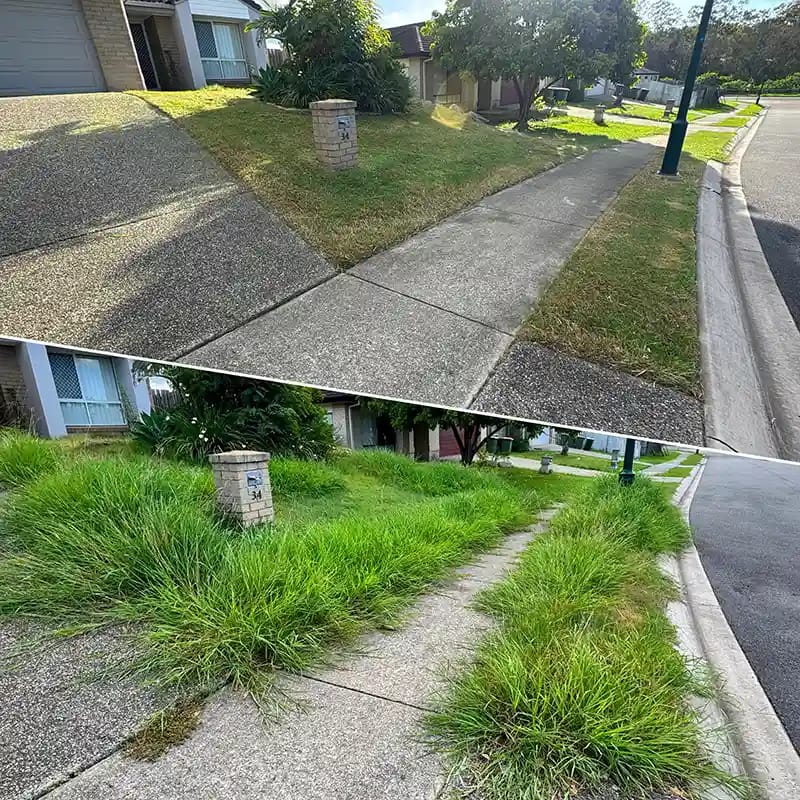 AOK Mowing before after overgrown lawn mowing in redbank plains Ipswich